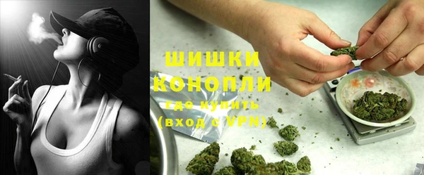 дживик Горнозаводск