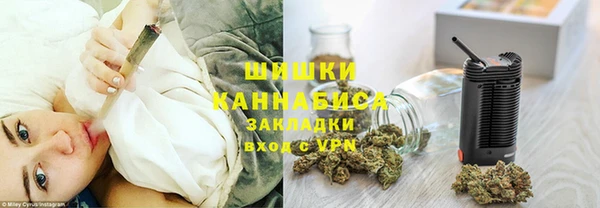 дживик Горняк