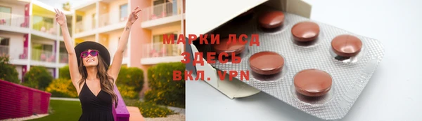 дживик Горняк