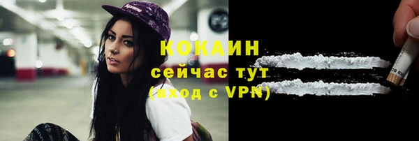 дживик Горняк