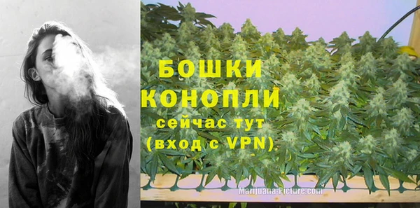 дживик Горняк