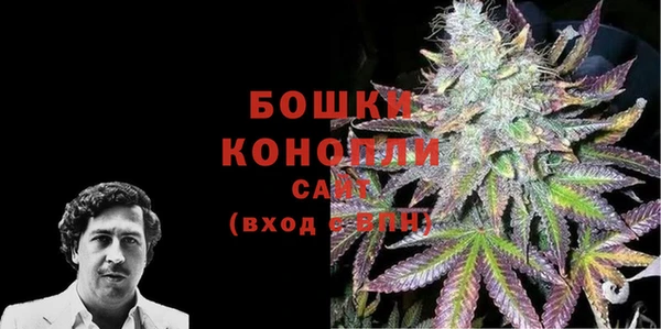 дживик Горняк