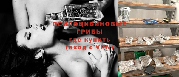 дживик Горнозаводск
