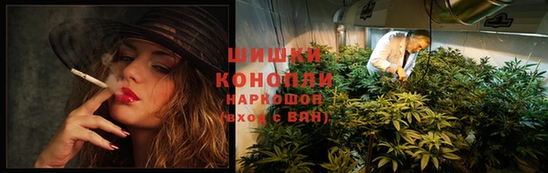 дживик Горнозаводск