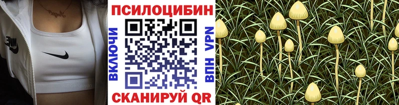купить  сайты  Чусовой  ОМГ ОМГ как зайти  Галлюциногенные грибы мухоморы 