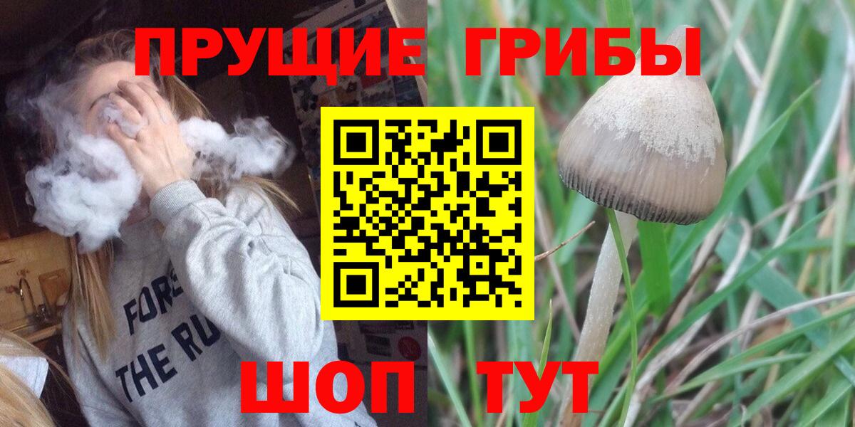 Псилоцибиновые грибы ЛСД Чусовой